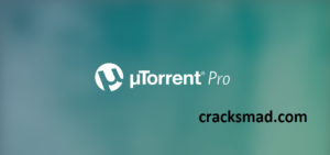 wintopo pro 3.5 crack